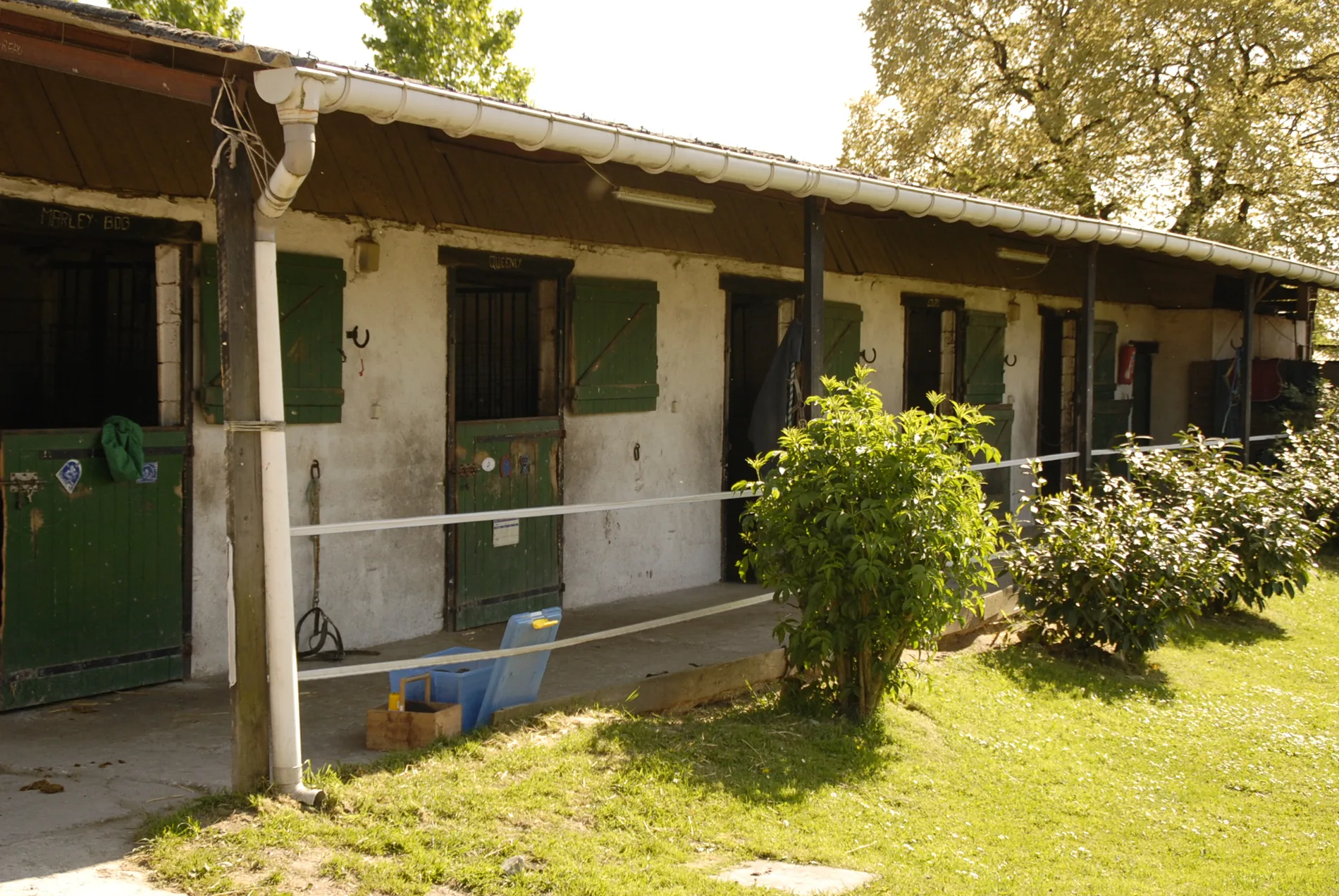 Les écuries Thierry Moreau à Ligny-le-Ribault, Loiret (45)