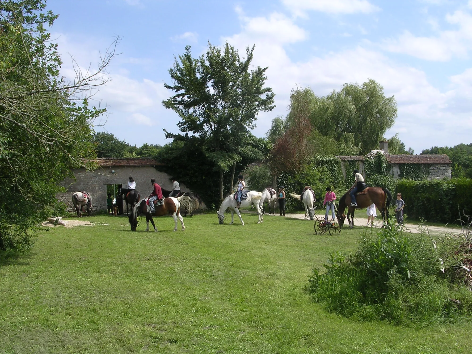 Les Ecuries de Milourdin à Saint-Martin-d'Abbat, Loiret (45)