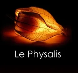 Le Physalis à Montrouge, Hauts-de-Seine (92)