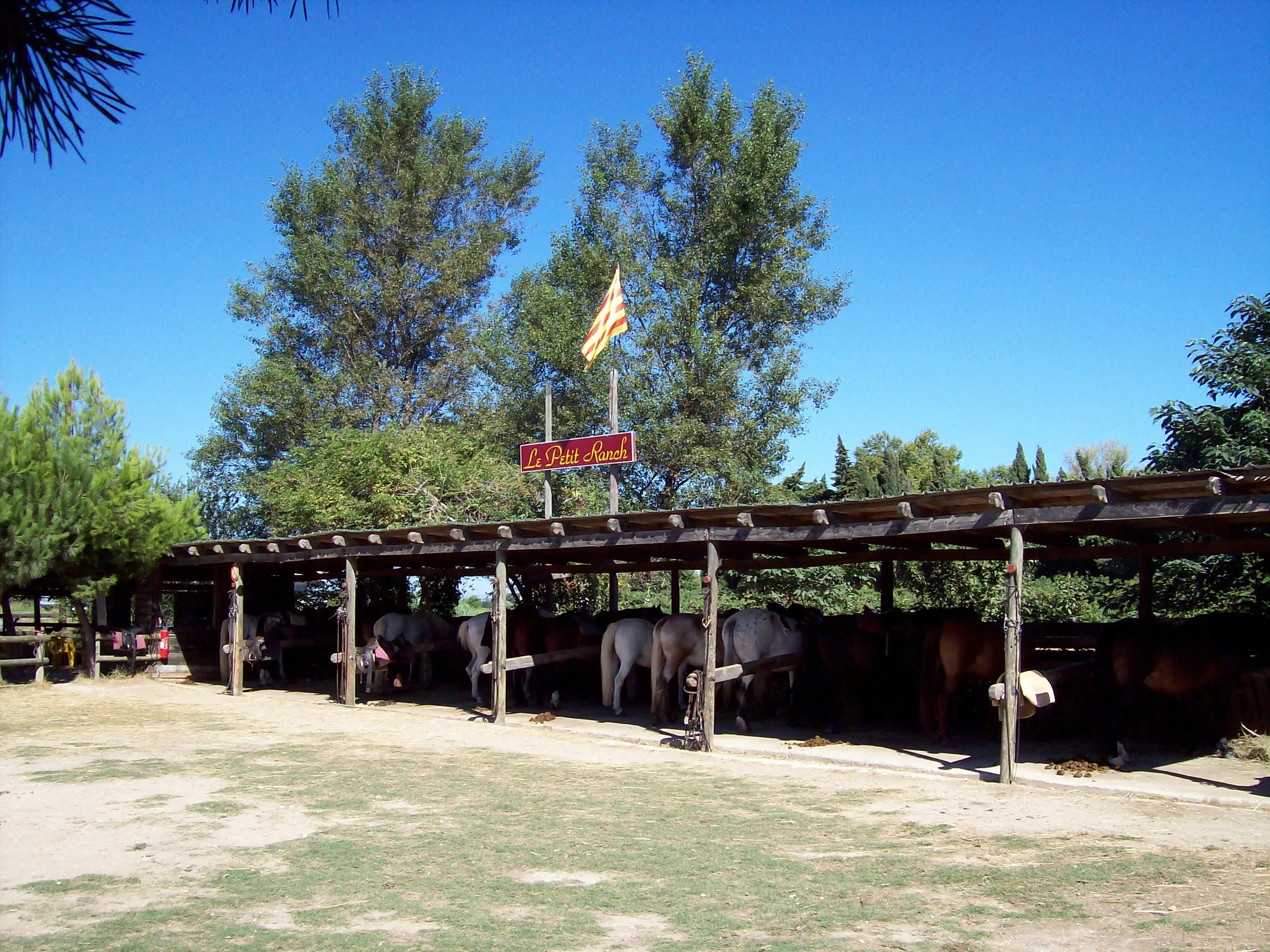 Le Petit Ranch à Argelès-sur-Mer, Pyrénées-Orientales (66)