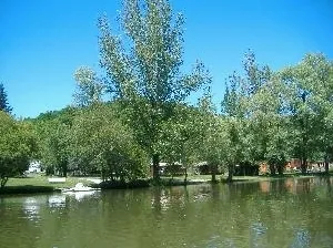 LE GRAND CHENE à Fréjairolles, Tarn (81)