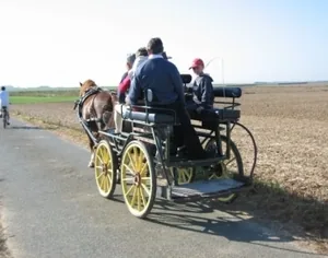 Les Cavaliers de la Brèche à Reuil-sur-Brêche, Oise (60)