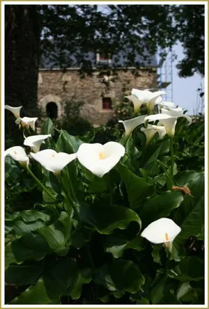 Les Jardins d'Ewen à Remungol, Morbihan (56)