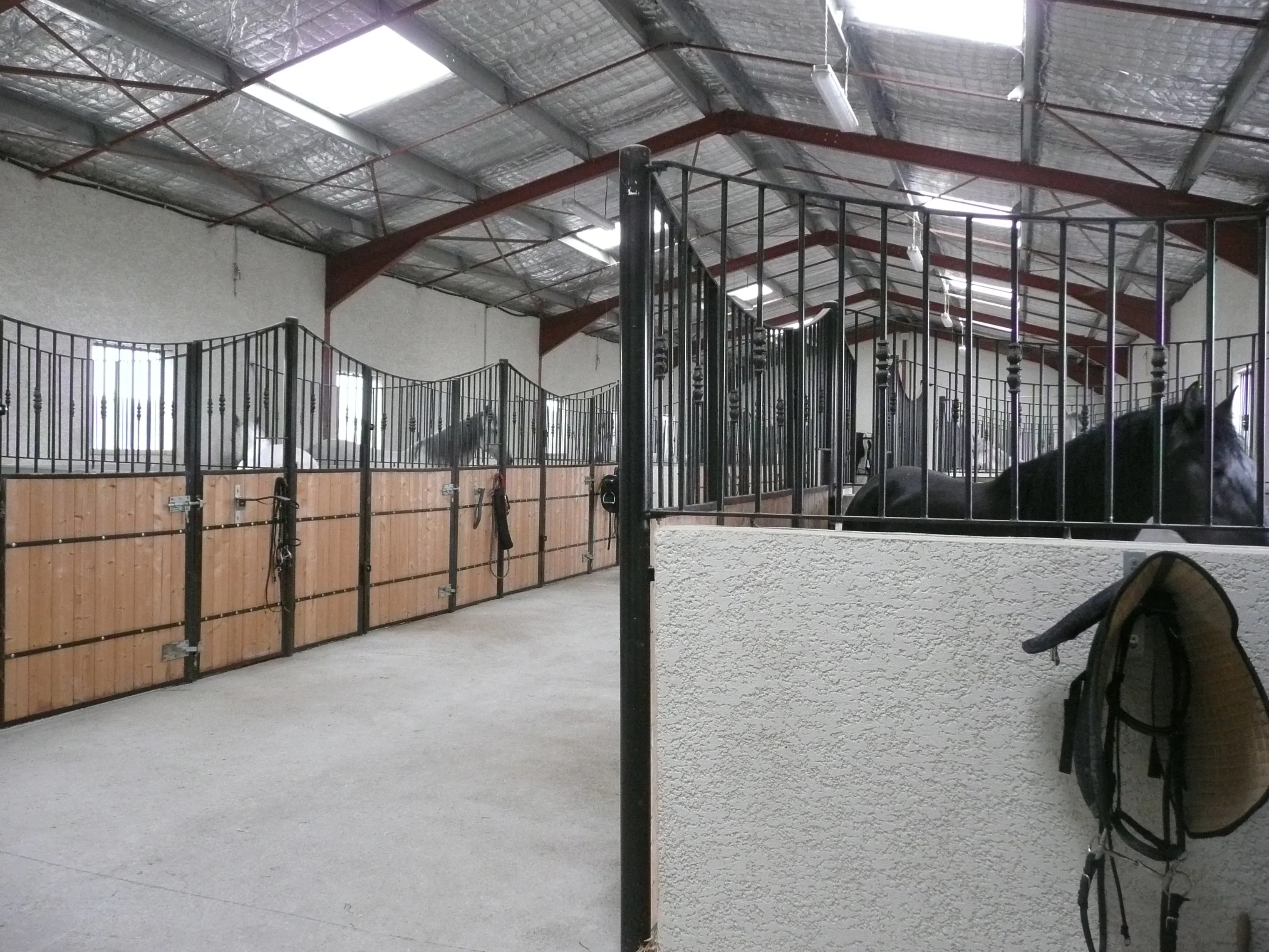 Le Manege de la Timide Verite à Saint-Hilaire-de-Beauvoir, Hérault (34)