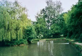 Le Moulin Carré à Châtillon-sur-Marne, Marne (51)