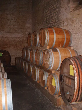 Les Vergers de Ducy à Ducy-Sainte-Marguerite, Calvados (14)