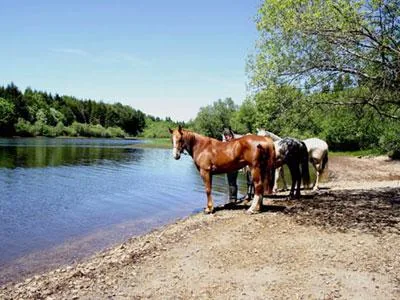 Le Mas de Biege à Le Margnès, Tarn (81)