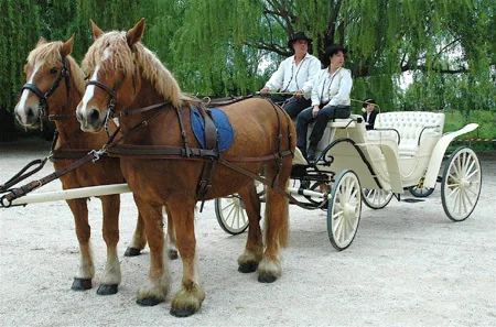 Les Attelages de l'Isle à L'Isle-sur-la-Sorgue, Vaucluse (84)