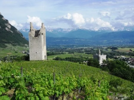 Les Fils de René Quenard à Chignin, Savoie (73)