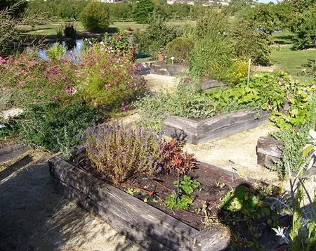 Les Jardins de Coursiana à La Romieu, Gers (32)