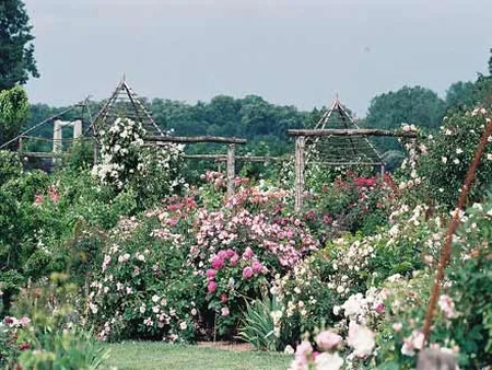 Les jardins de Roquelin à Meung-sur-Loire, Loiret (45)