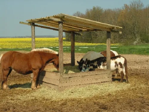 Le Galop Vert à Châtillon-Coligny, Loiret (45)