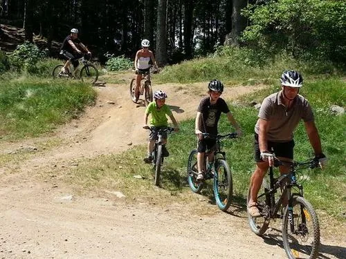 Le Montagnard à La Bresse, Vosges (88)