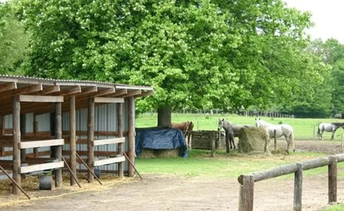 Les Chevauchées du Genetay à Saint-Christophe-sur-Avre, Eure (27)