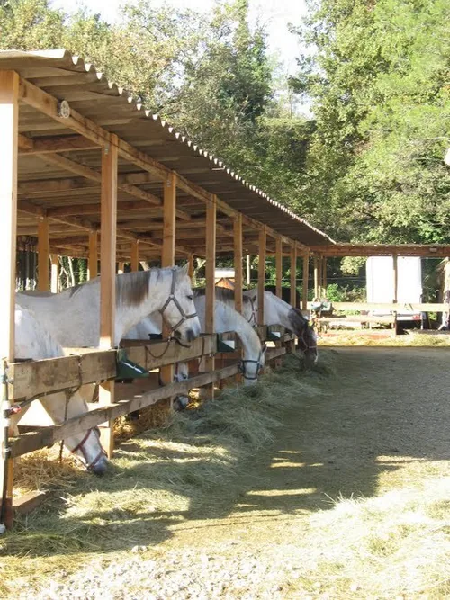 Les Écuries du Riou Sec à Callas, Var (83)