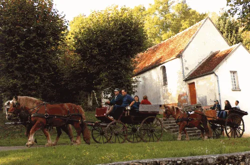 Les Ecuries du Vieux Château à Pont-à-Mousson, Meurthe et Moselle (54)
