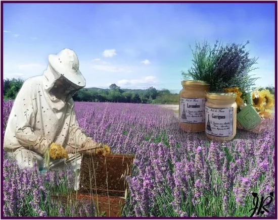 Le Grenier aux abeilles à Méjannes-lès-Alès, Gard (30)