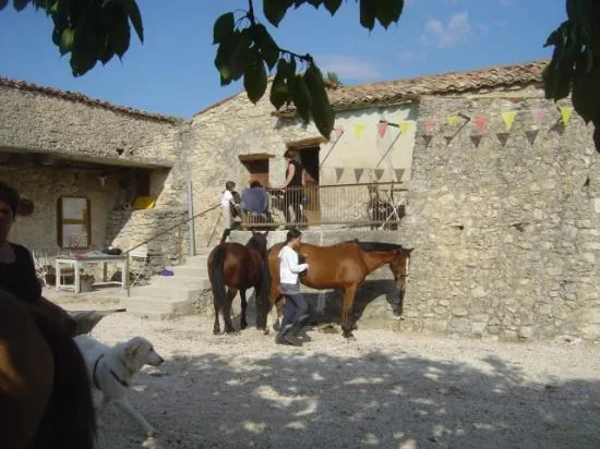 Les Crinières du Mont-Ventoux à Beaumont-du-Ventoux, Vaucluse (84)