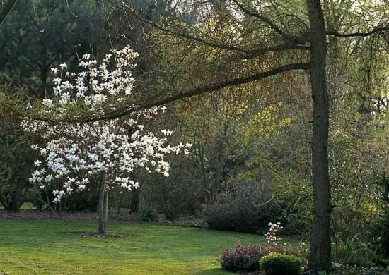 Les Jardins de Bellevue à Beaumont-le-Hareng, Seine-Maritime (76)
