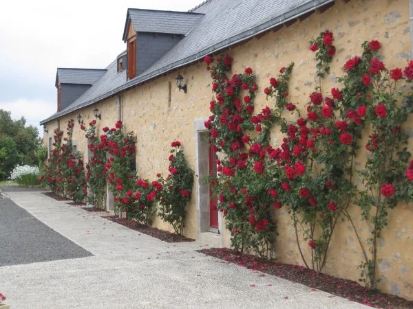 Le Domaine des Hallais à Saint-Pierre-sur-Erve, Mayenne (53)