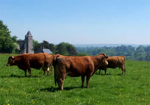 Le Lieu Roussel à Douville-en-Auge, Calvados (14)