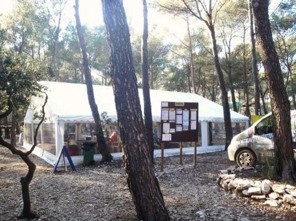 Le Royaume des Arbres à Charleval, Bouches-du-Rhône (13)