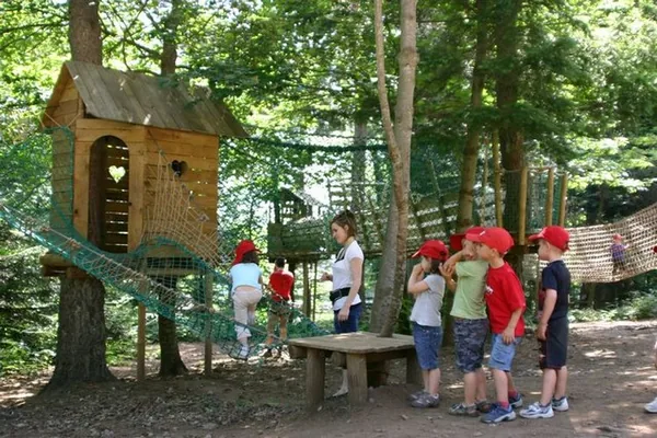 Les Acrobois à La Versanne, Loire (42)