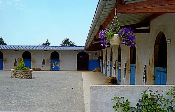 Les Ecuries du Mas à Saint-Sornin-Lavolps, Corrèze (19)