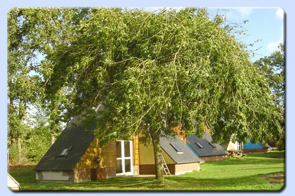Les Gîtes Kéranne à Val-de-Saâne, Seine-Maritime (76)