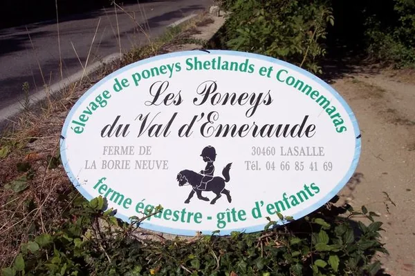logo du poney club