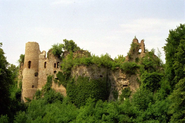 Le château du Morimont à Oberlarg, Haut-Rhin (68)