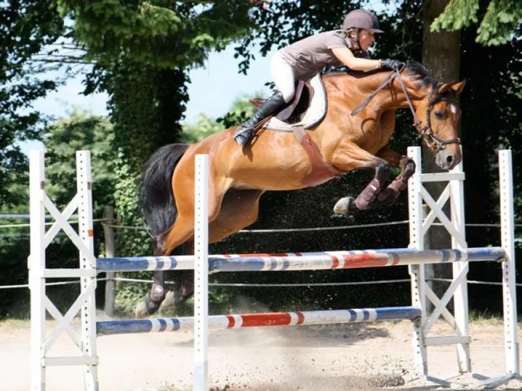 Le Haras des Auviers à Moyaux, Calvados (14)