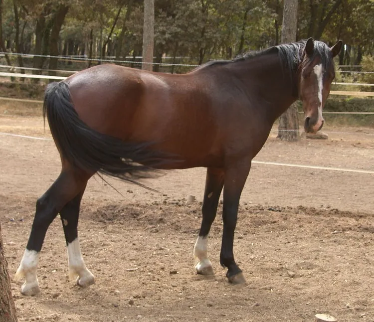 Le Jas de Barna - Equi SCA à Villecroze, Var (83)