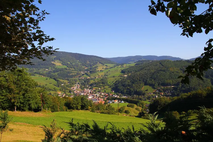 Les Alisiers à Lapoutroie, Haut-Rhin (68)