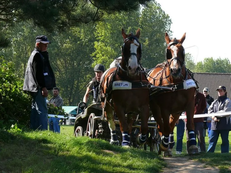 Les Ateliers du Val de Selle à Conty, Somme (80)