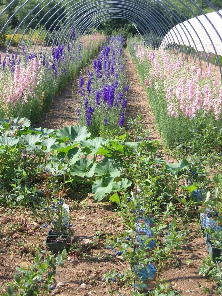 Les Jardins du Domaine de la Chaize à Le Breuil, Allier (03)