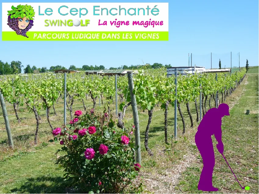 Le Cep Enchanté à Macqueville, Charente-Maritime (17)