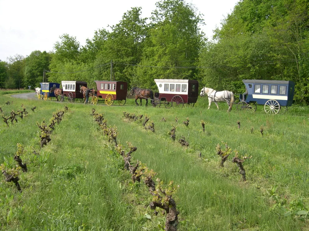 Locattelage à Saint-Rémy-la-Varenne, Maine-et-Loire (49)