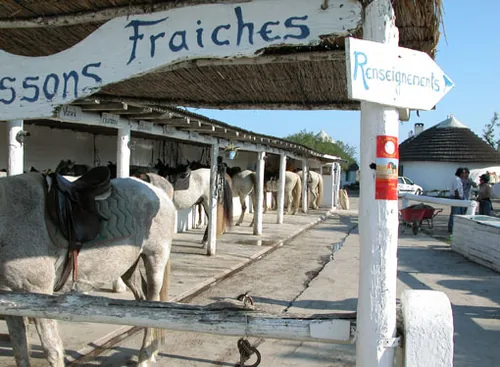 LOU SIMBEÙ à Saintes-Maries-de-la-Mer, Bouches-du-Rhône (13)