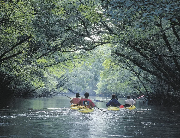 Location Canoë Kayak Maison de la Nature du Bassin à Le Teich, Gironde (33)