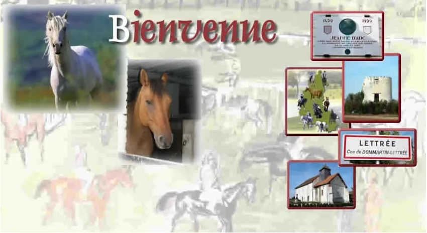 Loisirs Equitation à Dommartin-Lettrée, Marne (51)