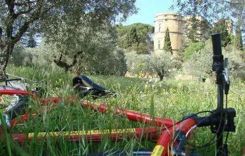 Luberon Biking à Carpentras, Vaucluse (84)