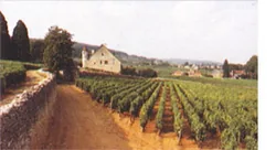 Manoir de la Perrière à Fixin, Côte-d'Or (21)