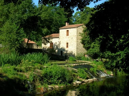 Maison de la Rivière à Saint-Georges-de-Montaigu, Vendee (85)