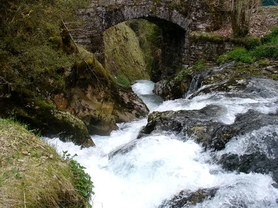 Magrou Francine à Louvie-Juzon, Pyrénées-Atlantiques (64)