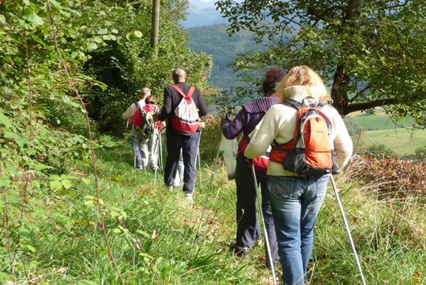 Marche Nordique - Nicolas Monfrin à Le Brusquet, Alpes-de-Haute-Provence (04)
