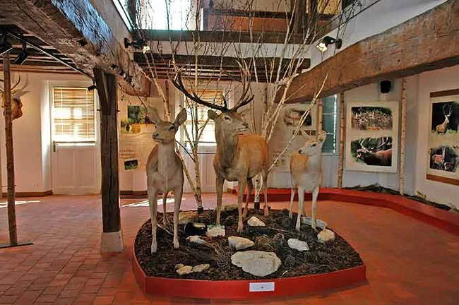 Maison du Cerf à Villeny, Loir-et-Cher (41)