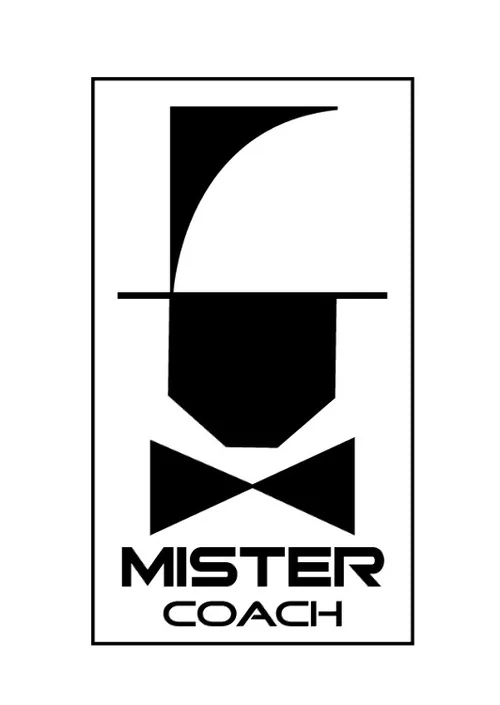 Mistercoach à Laval, Mayenne (53)