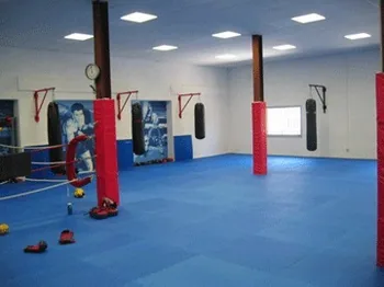 MONDIAL BOXING à Marseille, Bouches-du-Rhône (13)