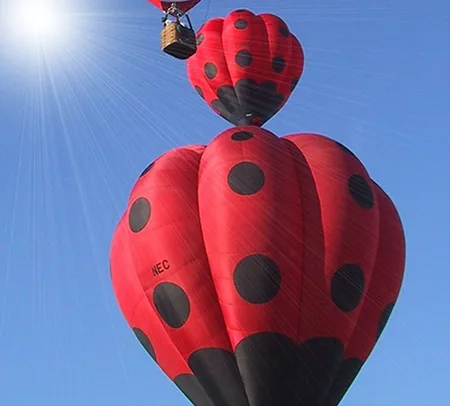 Montgolfières Nacelle et Coccinelle à Étiolles, Essonne (91)